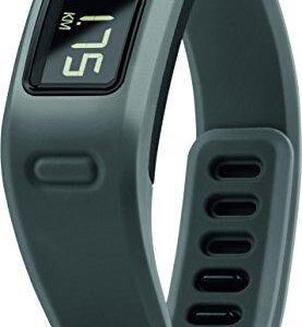 Garmin-Vivofit-Fitness-Band-0-2